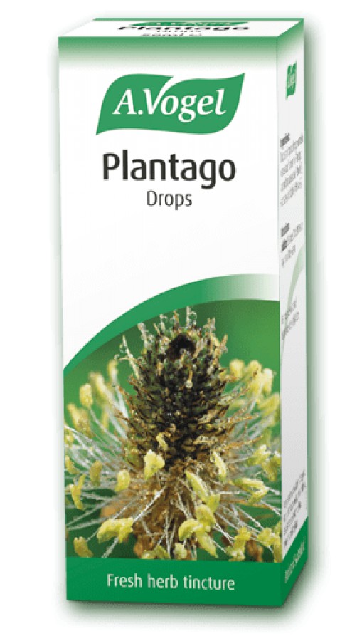 A.Vogel Plantago Drops 50ml