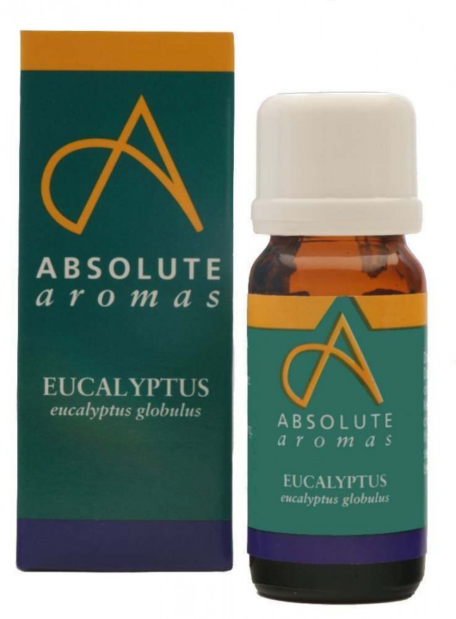 Absolute Aromas Eucalyptus Globulus Oil 10ml