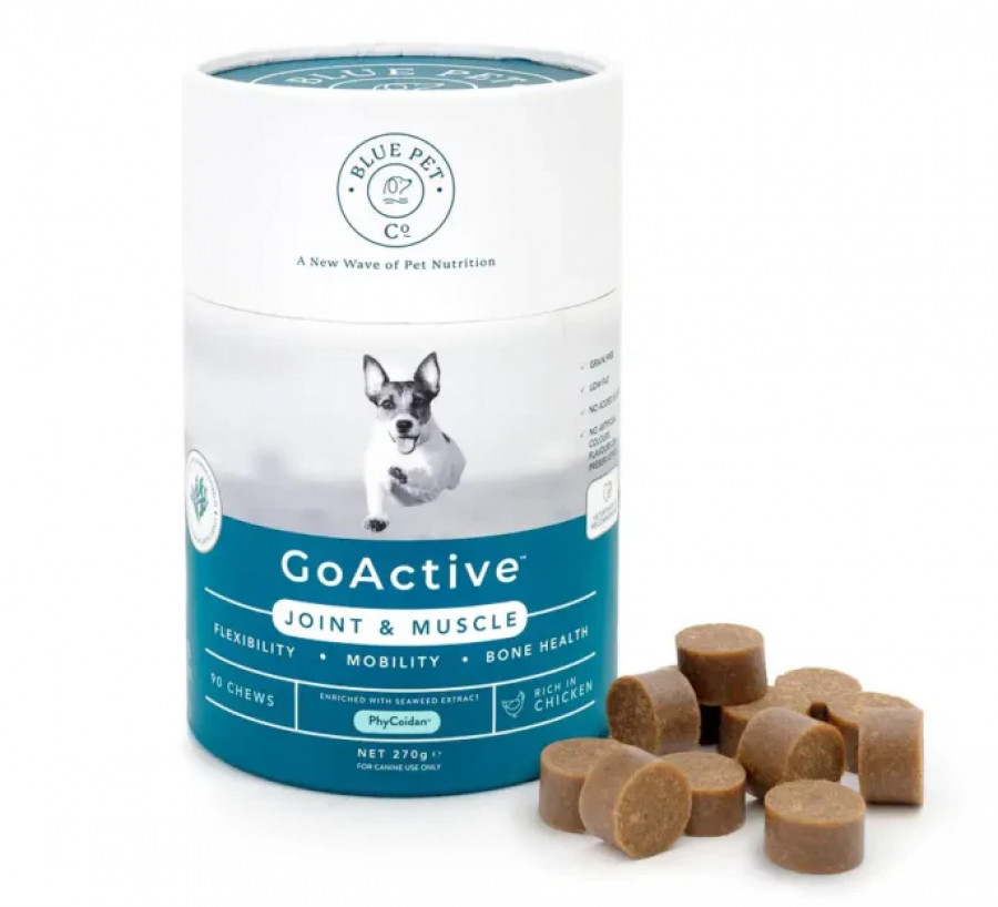 Blue Pet Co GoActive Chicken Muscle Bone & Joint Supplements - 90 Chews